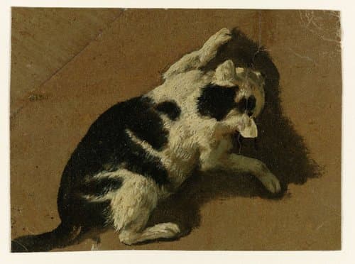 Kat spelend bij een muur by Adriaen van de Velde