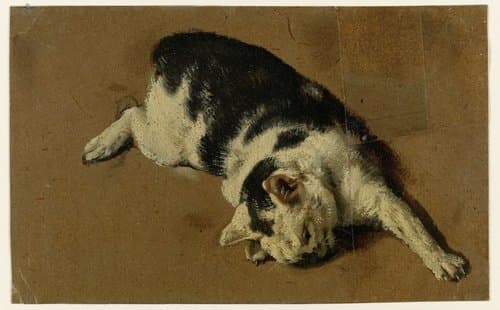 Kat liggend op de zij by Adriaen van de Velde