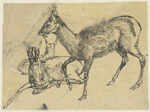 Drie herten by Rodolphe Bresdin