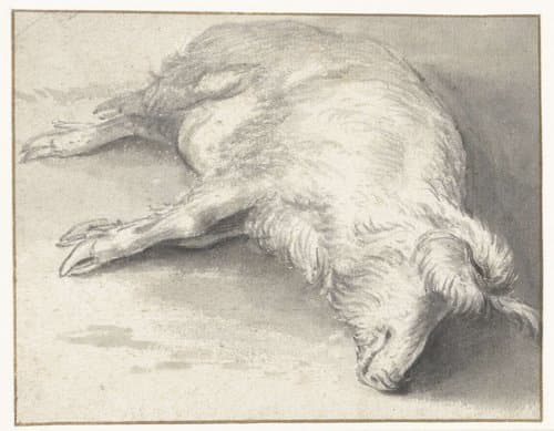 Liggend zwijn by Adriaen Verdoel I