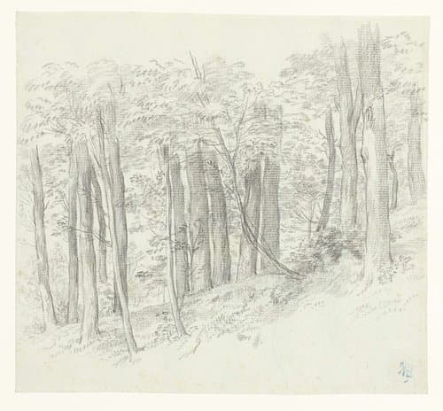 Bosheuvel by Charles Nicolas Cochin (II)