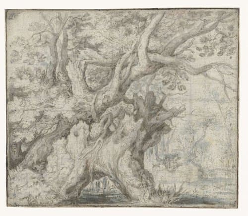 Knoestige bomen aan het water by Roelant Savery