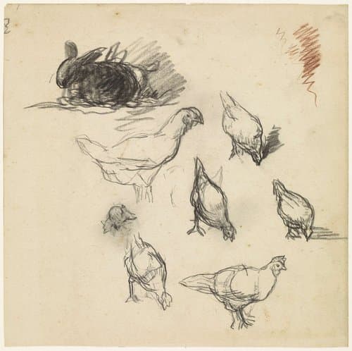 Studieblad met schetsen van kippen en een konijn by Jakob Smits