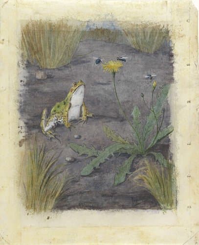Frog by a Dandelion with Flies by Jan van Oort