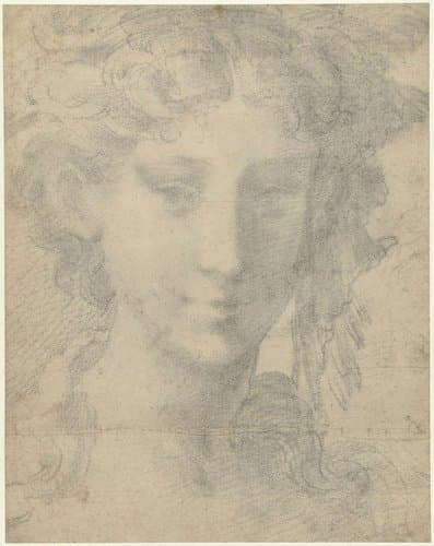 Hoofd van vrouw by Parmigianino