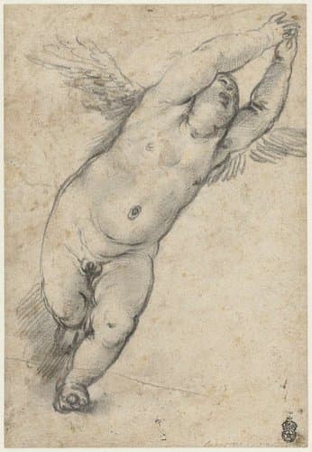 Vliegende putto met opgeheven armpjes by Agostino Carracci