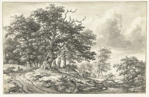 Boslandschap met een vennetje by Jacob Isaacksz van Ruisdael