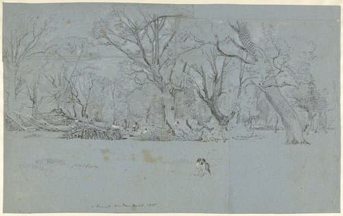 Gezicht in het bos te Windsor by John Linnell (II)