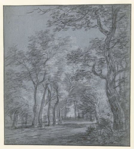 Open plek in het bos by Simon de Vlieger