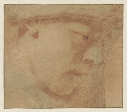 Hoofd van een jongen by Leendert van der Cooghen