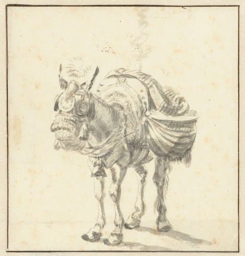 Staande ezel by Karel du Jardin