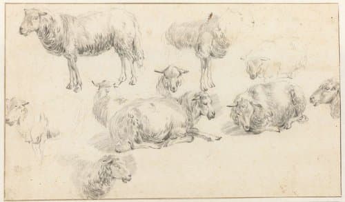 Studieblad met staande en liggende schapen by Nicolaes Pietersz Berchem