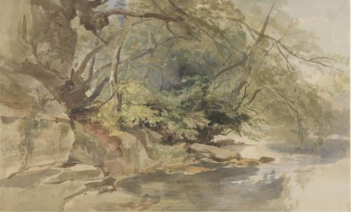 Gezicht in Stapleton Wood, bij Bristol by William James Muller