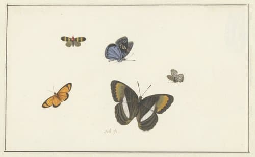 Vijf vlinders by Herman Henstenburgh