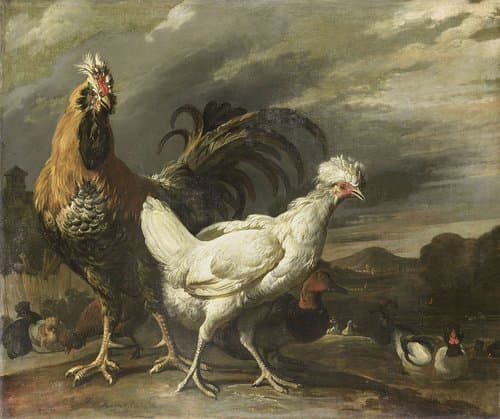 Een haan, een kip en ander pluimvee by Pieter Jansz. van Ruyven