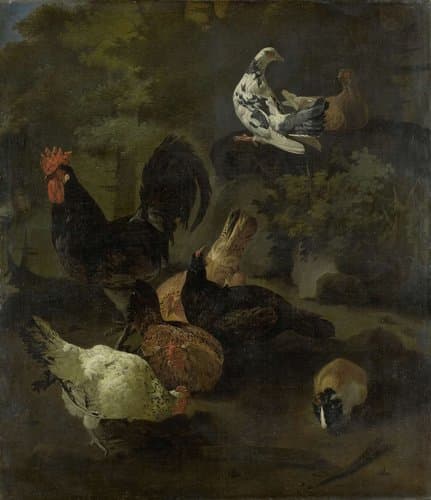 Een haan met kippen, duiven en een marmot by Jacomo Victors