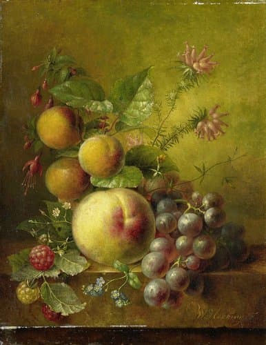 Stilleven met vruchten by Willem Hekking (I)
