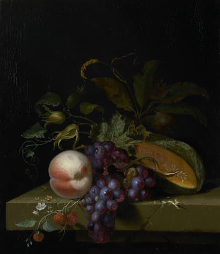 Stilleven met vruchten by Pieter Gallis