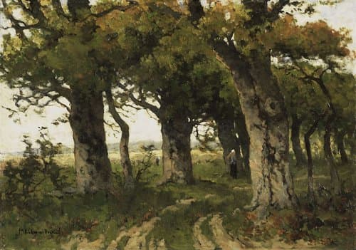 Eikenlaan in de nazomer by Maria Bilders-van Bosse