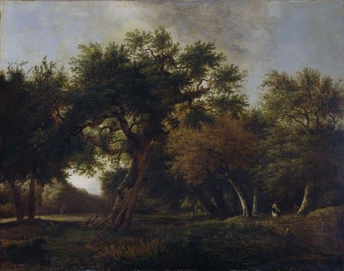 View in the Woods by Jan van Kessel (1641-1680)