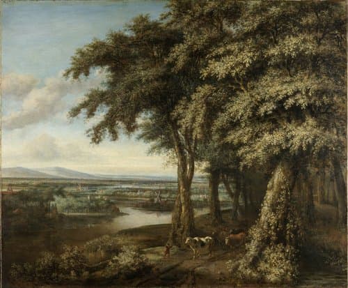 De ingang van het bos