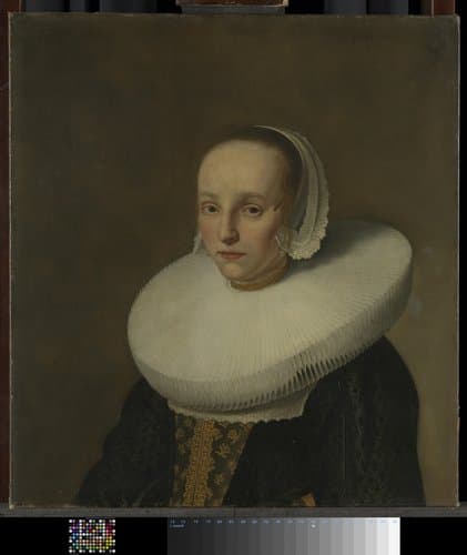 Portret van Anna van der Does (1609-1650) by Paulus Hennekyn