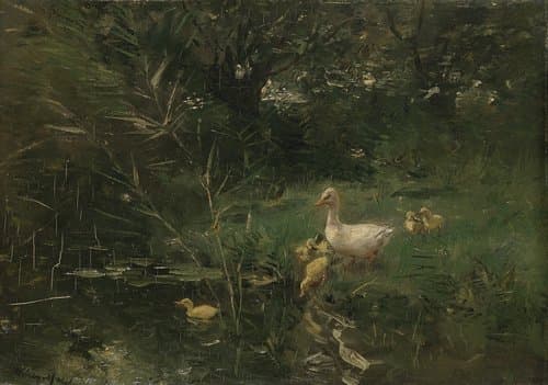 Ducks by Willem Maris
