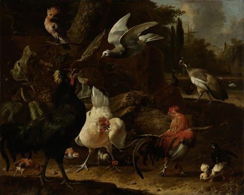 Vogels in een park by Melchior d'Hondecoeter