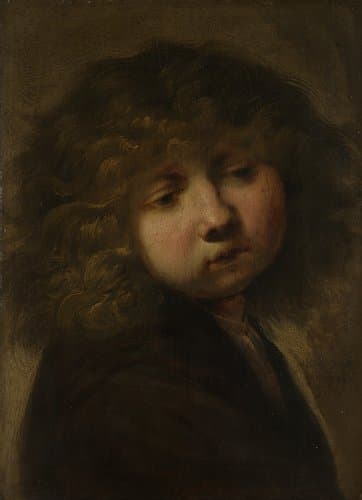 Head of a Boy by Jan Lievens
