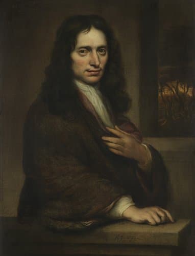 Portrait of a Man by Jacobus Levecq