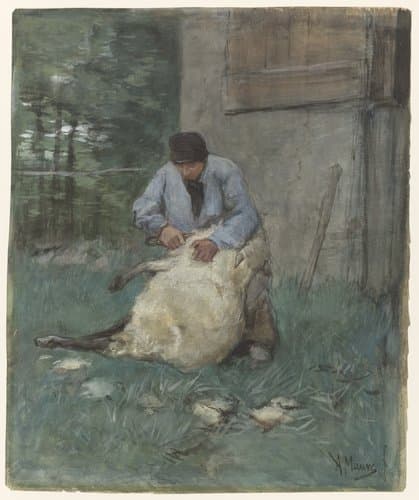 Schapenscheerder by Anton Mauve