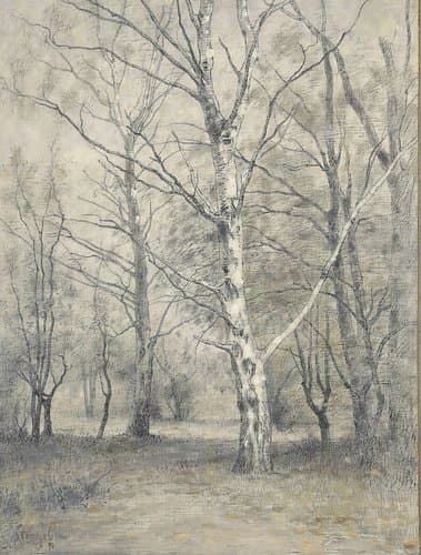 Bos met berkebomen by Alphonse Stengelin