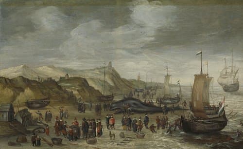 A Sperm Whale Washed up on the Beach at Noordwijk by Hans Savery (I)