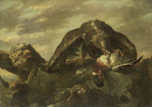 Eagles on the Cliffs by Joannes Fijt