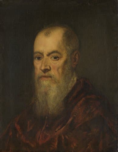 Portrait of a Man with a Red Cloak by Jacopo Tintoretto