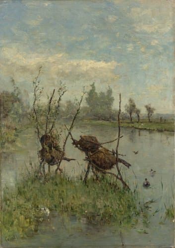 Ducks’ Nests