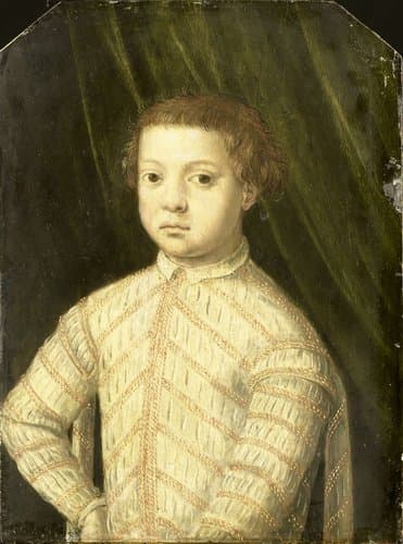Portrait of a Boy by anonymous