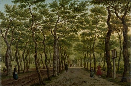 The Herepad in the Haagse Bos