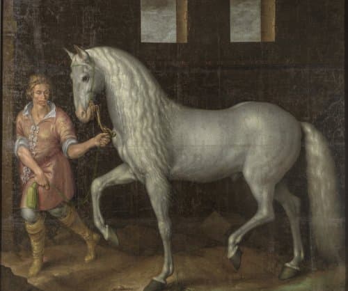 Spanish Warhorse by Jacques de Gheyn (II)