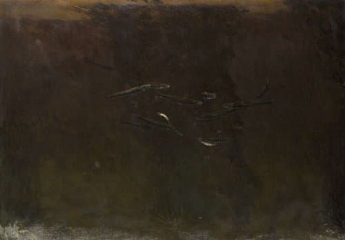 Vissen in een aquarium
