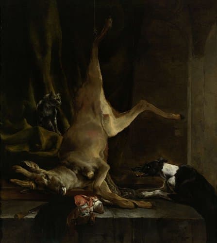 Een hond en een kat bij een half geslachte ree