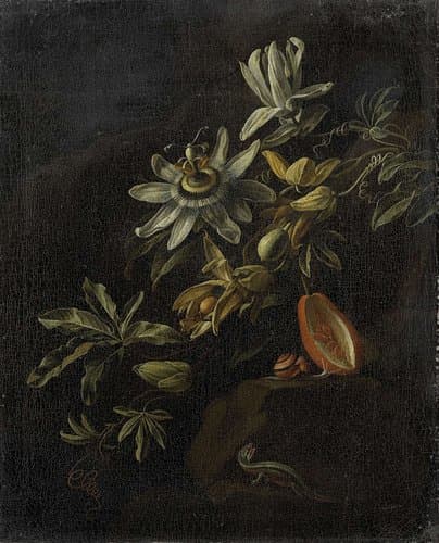 Portrait of Broeck, Elias van den