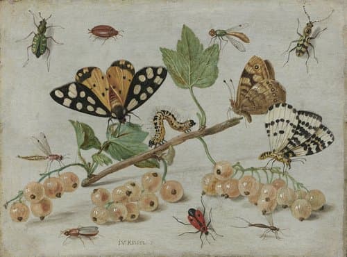 Portrait of Jan van Kessel (I)