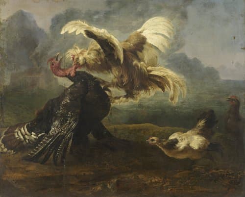 Een haan valt een kalkoen aan by anonymous