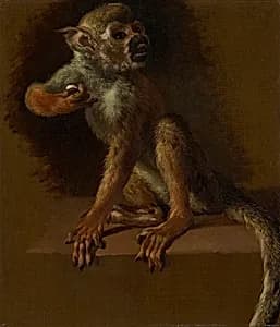 A Seated Monkey