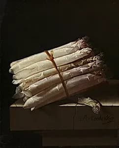 Still Life with Asparagus by Adriaen Coorte