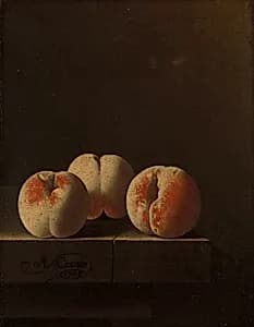 Three Peaches on a Stone Plinth by Adriaen Coorte