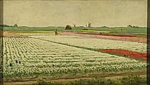 Tulip Fields by Gerrit Willem Dijsselhof