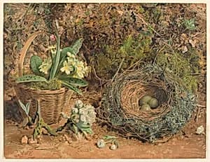 A Bird's Nest by M. & N. Hanhart, English, active 1839 - 1882