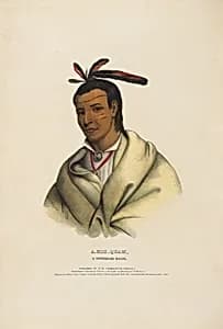 A-mis-quam - A Winnebago Brave by Alfred M. Hoffy, active 1835 - 1864
